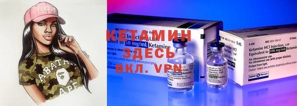 стаф Семилуки