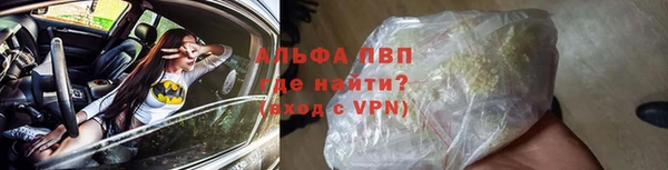 прущие грибы Бугульма