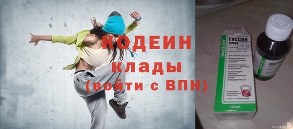 молекула духа Богданович