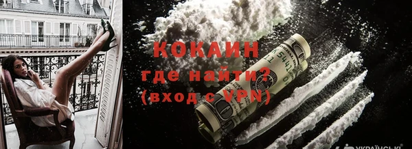 молекула духа Богданович