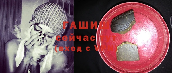 молекула духа Богданович