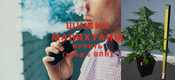 spice Бородино