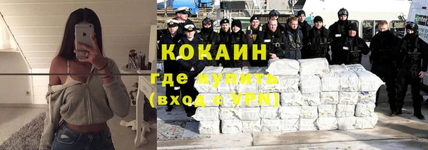 молекула духа Богданович