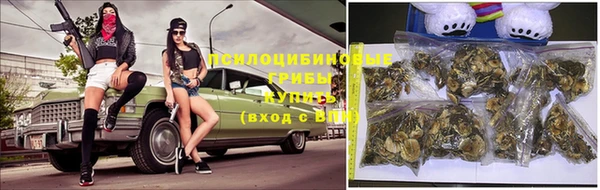 ешки Белоозёрский
