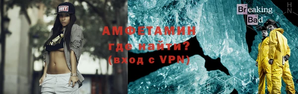 молекула духа Богданович