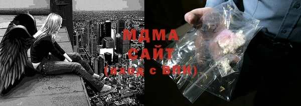 молекула духа Богданович